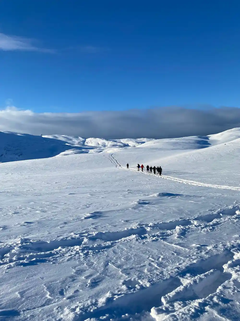A distant line of walkers crossing the plateau