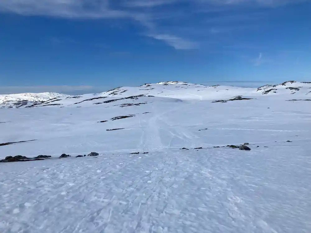 An empty snowfield running to the horizon
