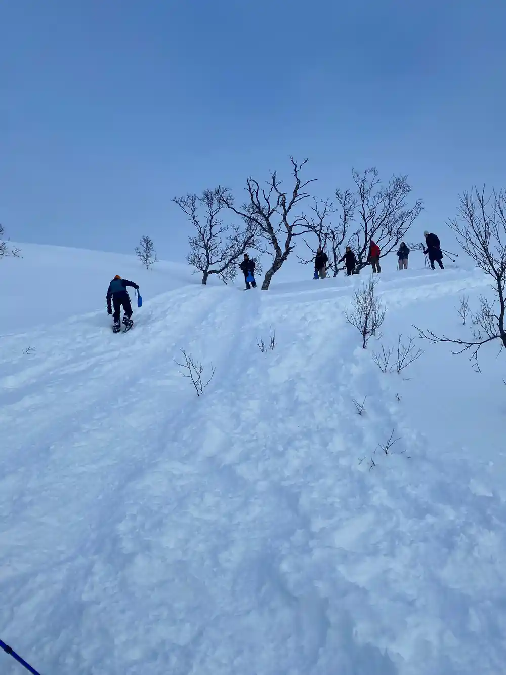 Figures climbing among bare winter trees