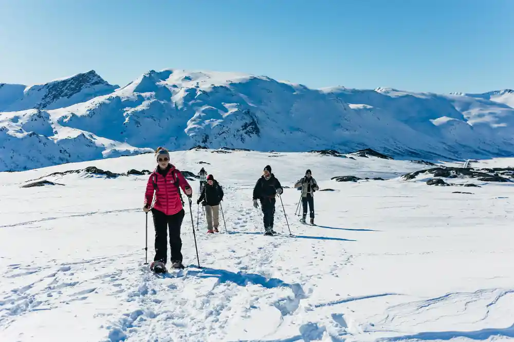 A line of snowshoers crossing open snow below the peaks