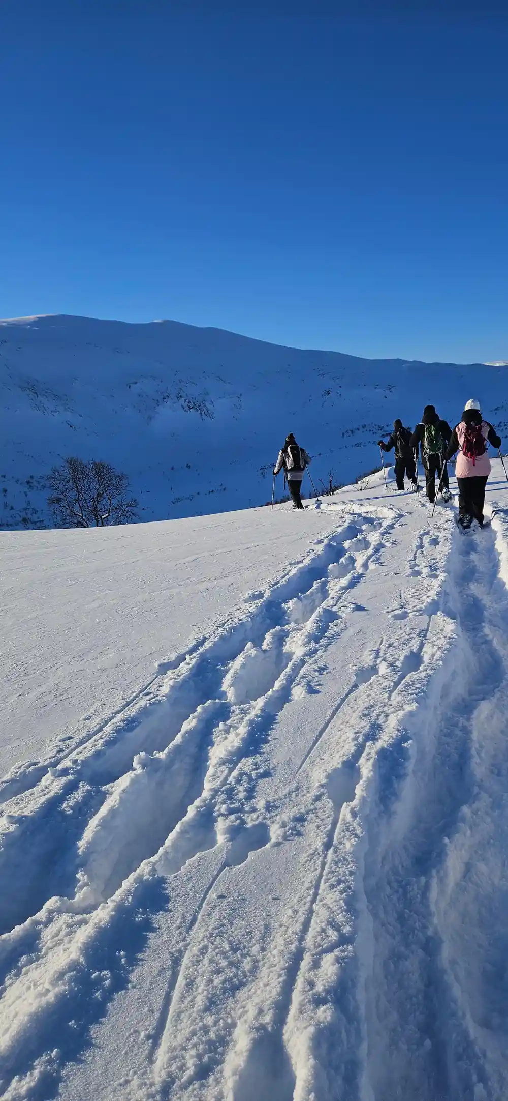 A line of walkers climbing a packed snow track