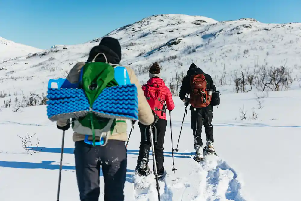 Snowshoers seen from behind, packs and poles, climbing