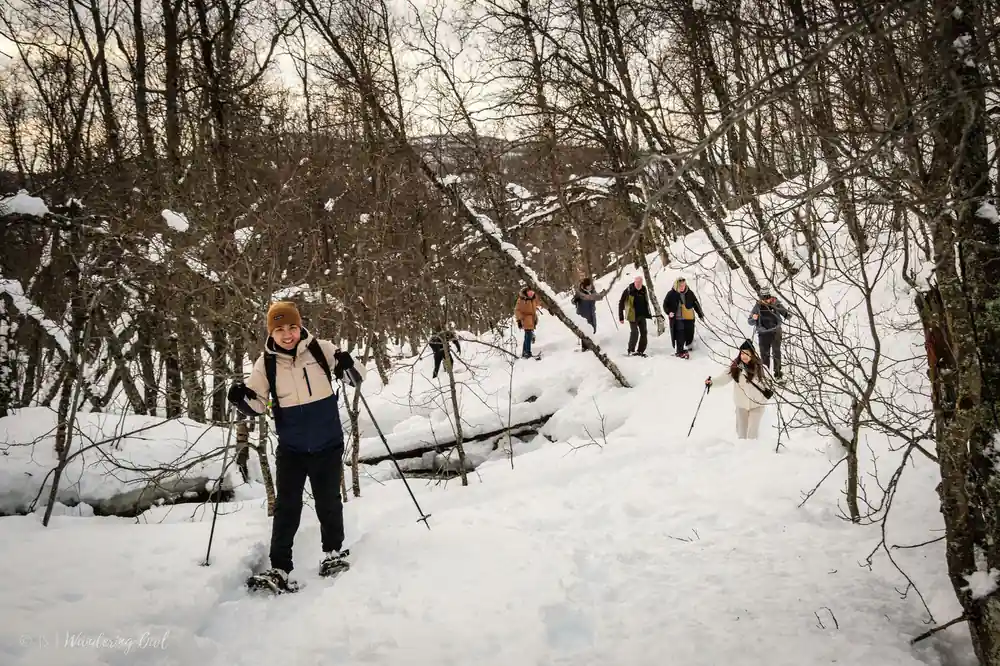 Snowshoers on a track through the winter woods