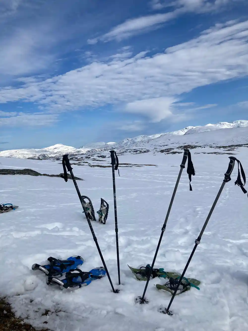 Snowshoes and poles standing upright in the snow