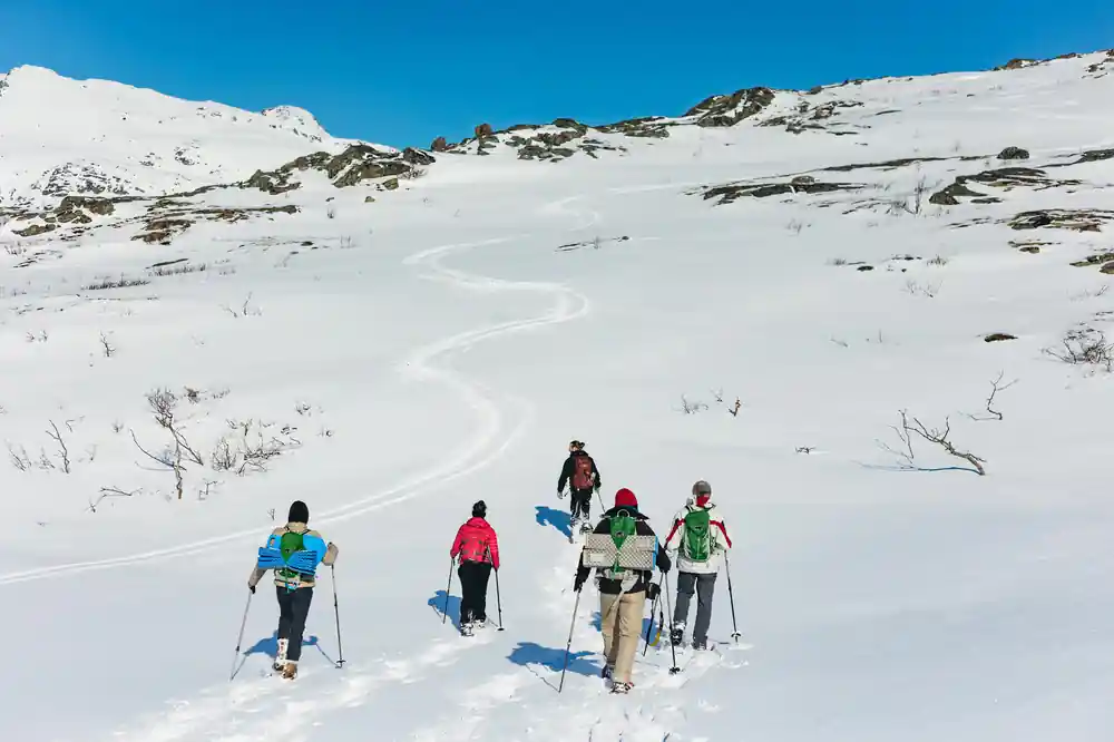 A track curving away across the snow with walkers on it