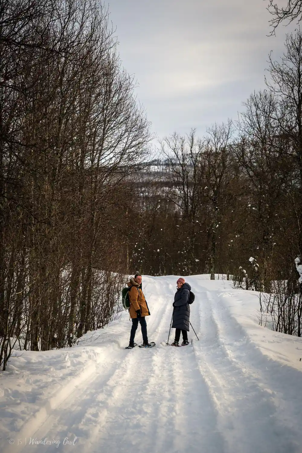 Two figures on a snow road between the trees